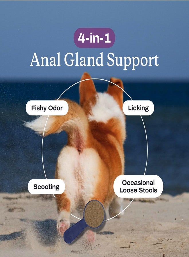 PetLab Co. Anal Gland Support Tailored Powder – Supports Anal Gland Health and Optimizes Stool Consistency - Easy to Use - Helps Target Scooting & Fishy Rears – for Large Dogs - Image 4